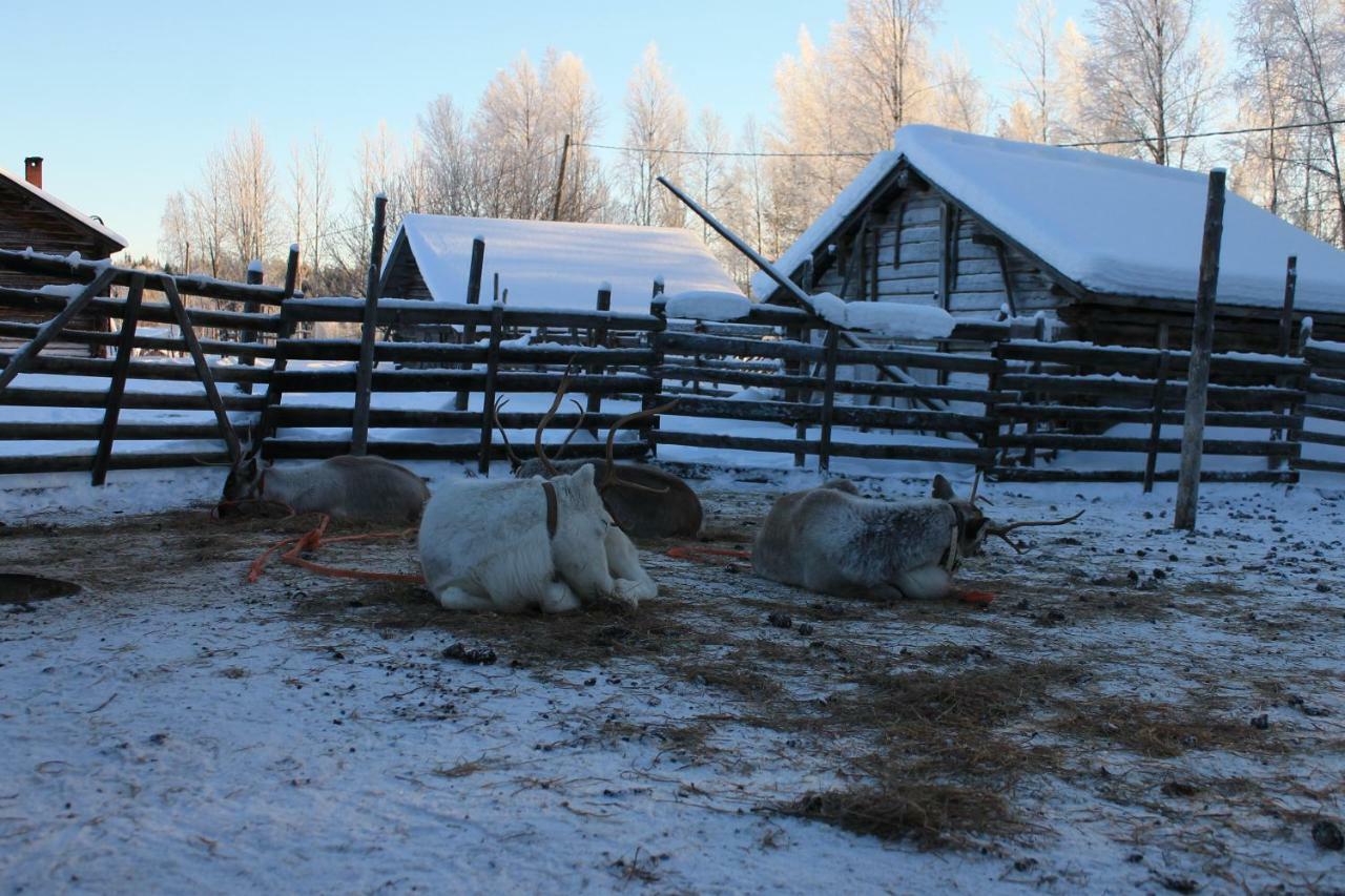 Levi Northern Lights Huts Εξωτερικό φωτογραφία