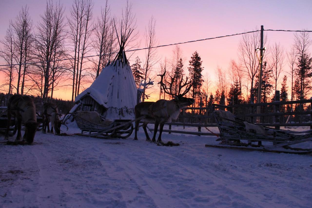 Levi Northern Lights Huts Εξωτερικό φωτογραφία